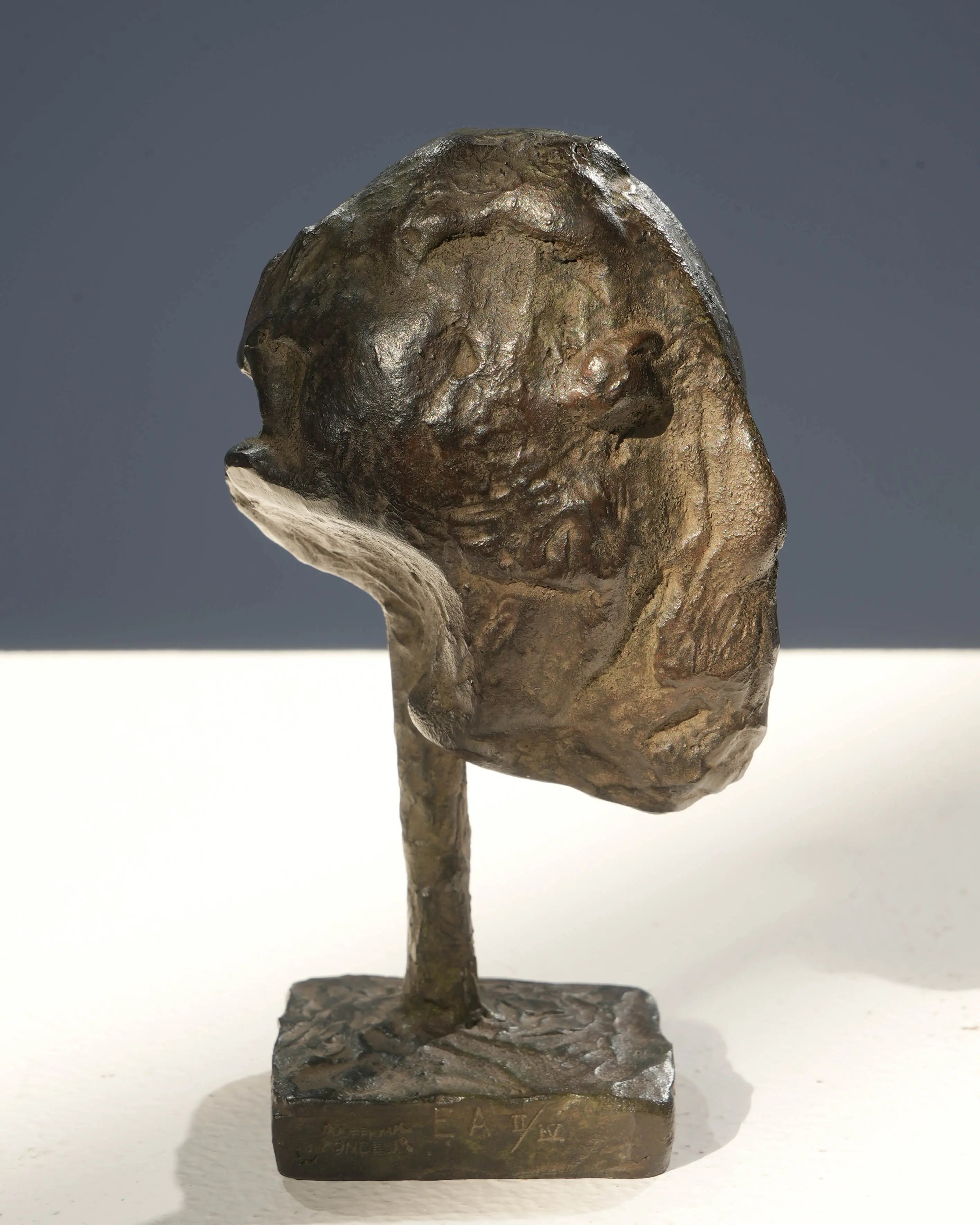 18847, Marc Petit, Tete V, 2002