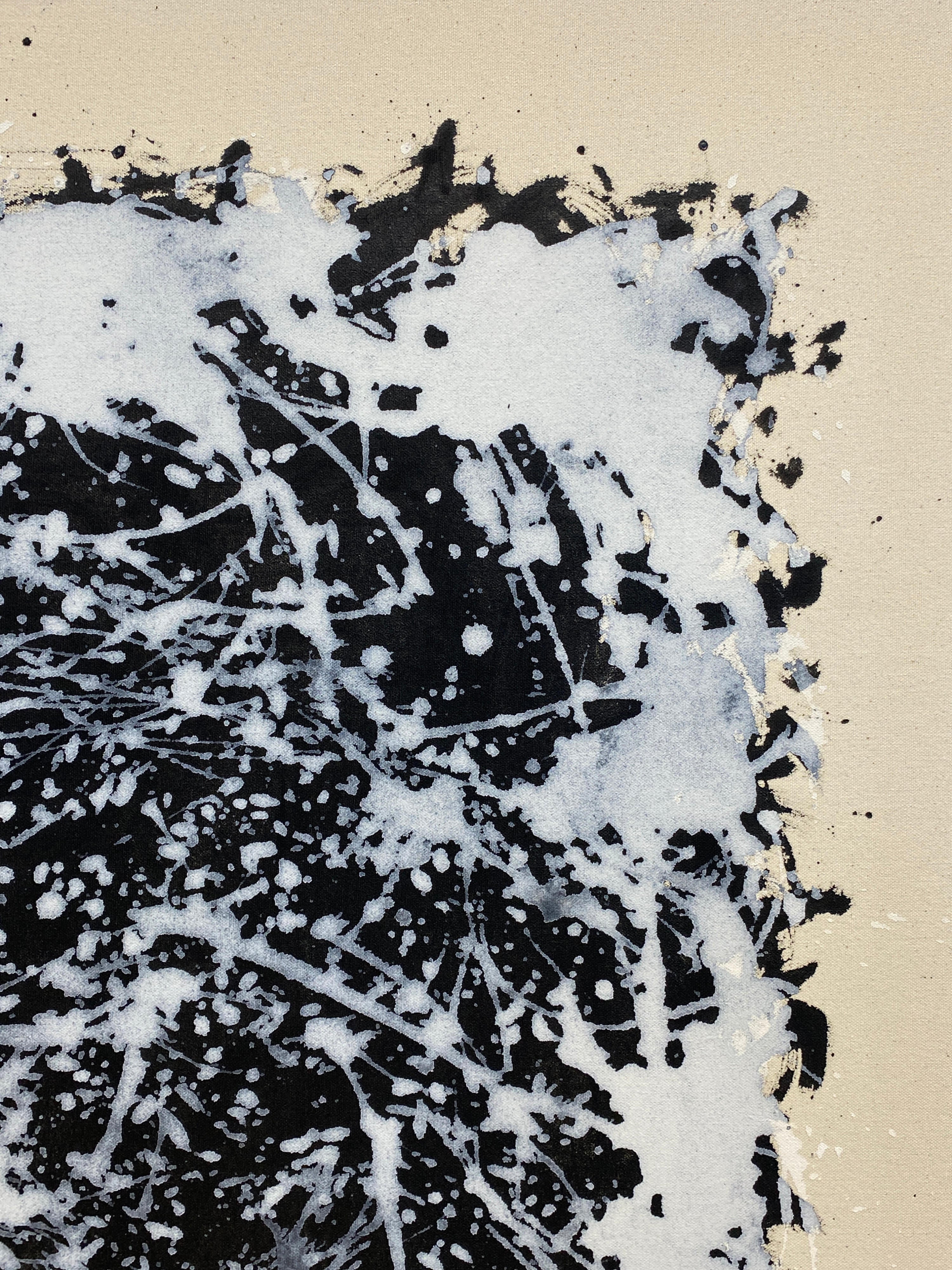 18450, Kiyoshi Otsuka, Galaxy II, 2015