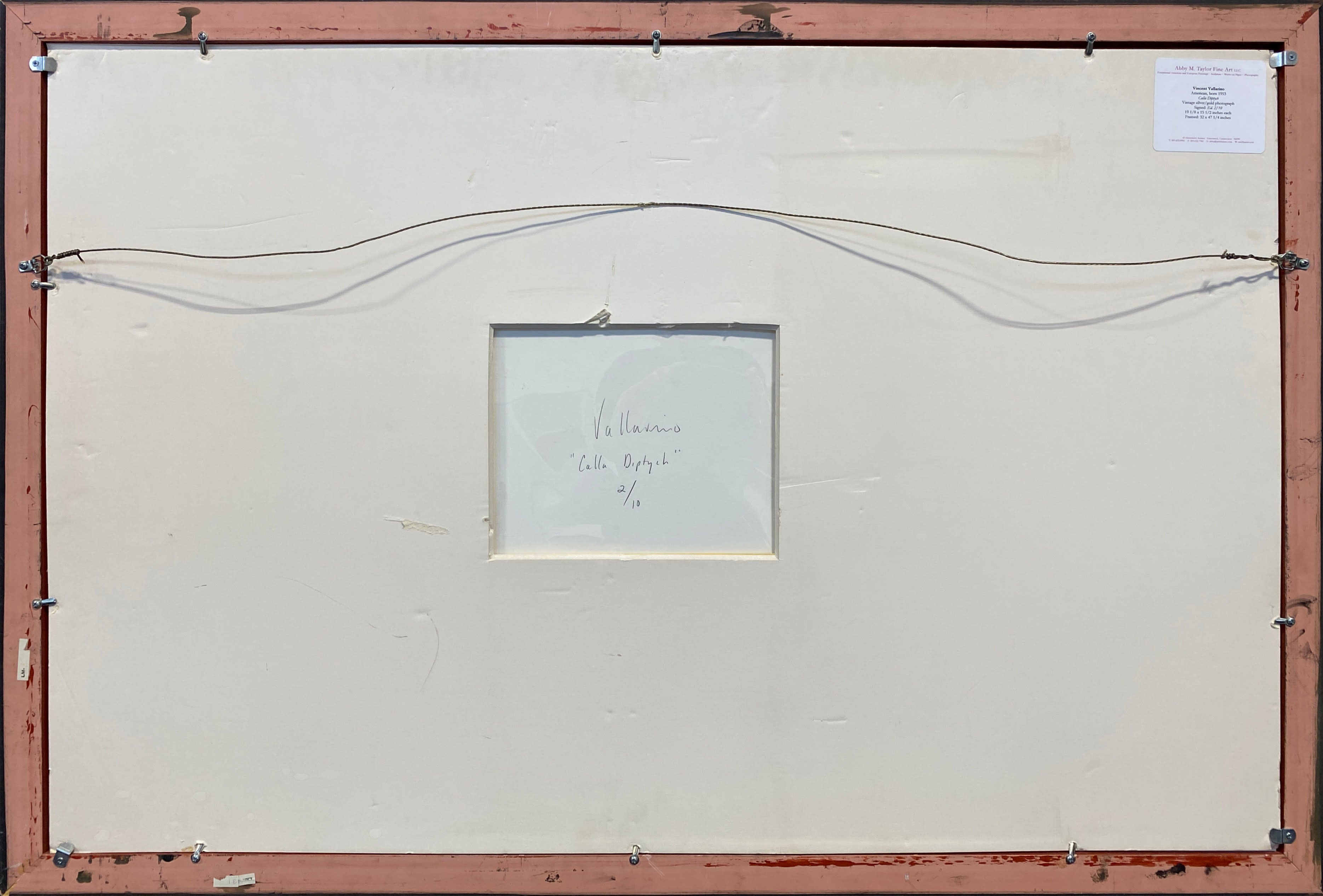 16486, Vincent Vallarino, Calla Diptych, 1987