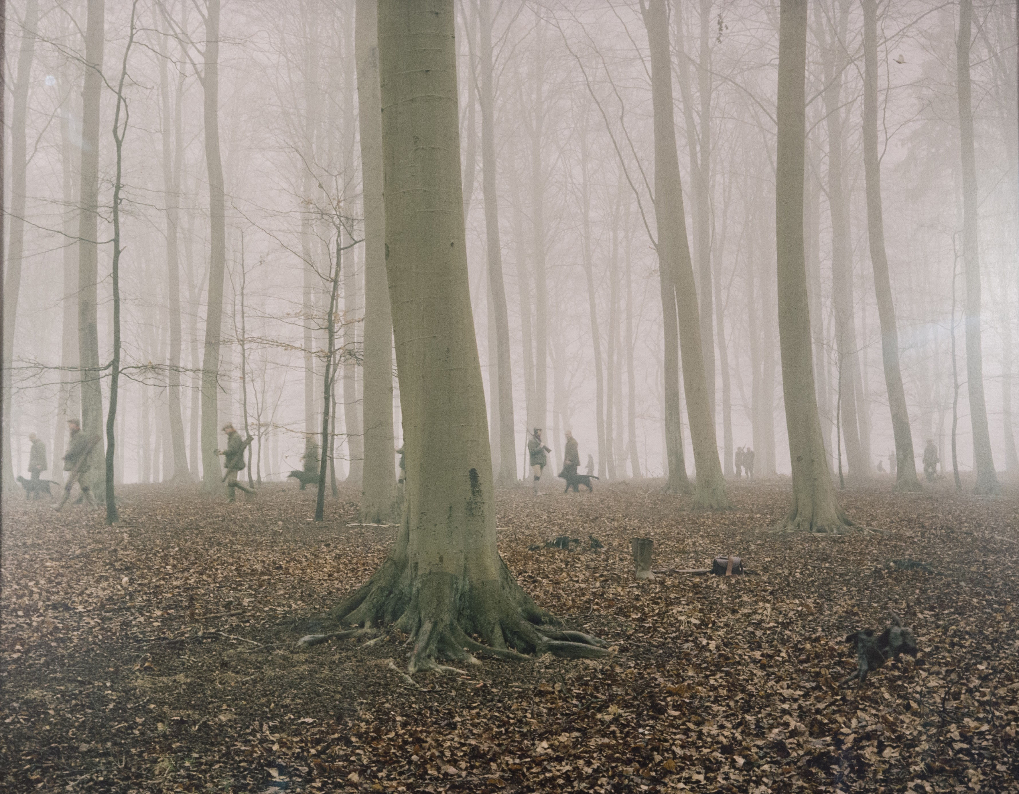 16140, Nicolai Howalt & Trine Søndergaard, How to Hunt; Tvedelykkemarken (Bjornemosen), 2005-07