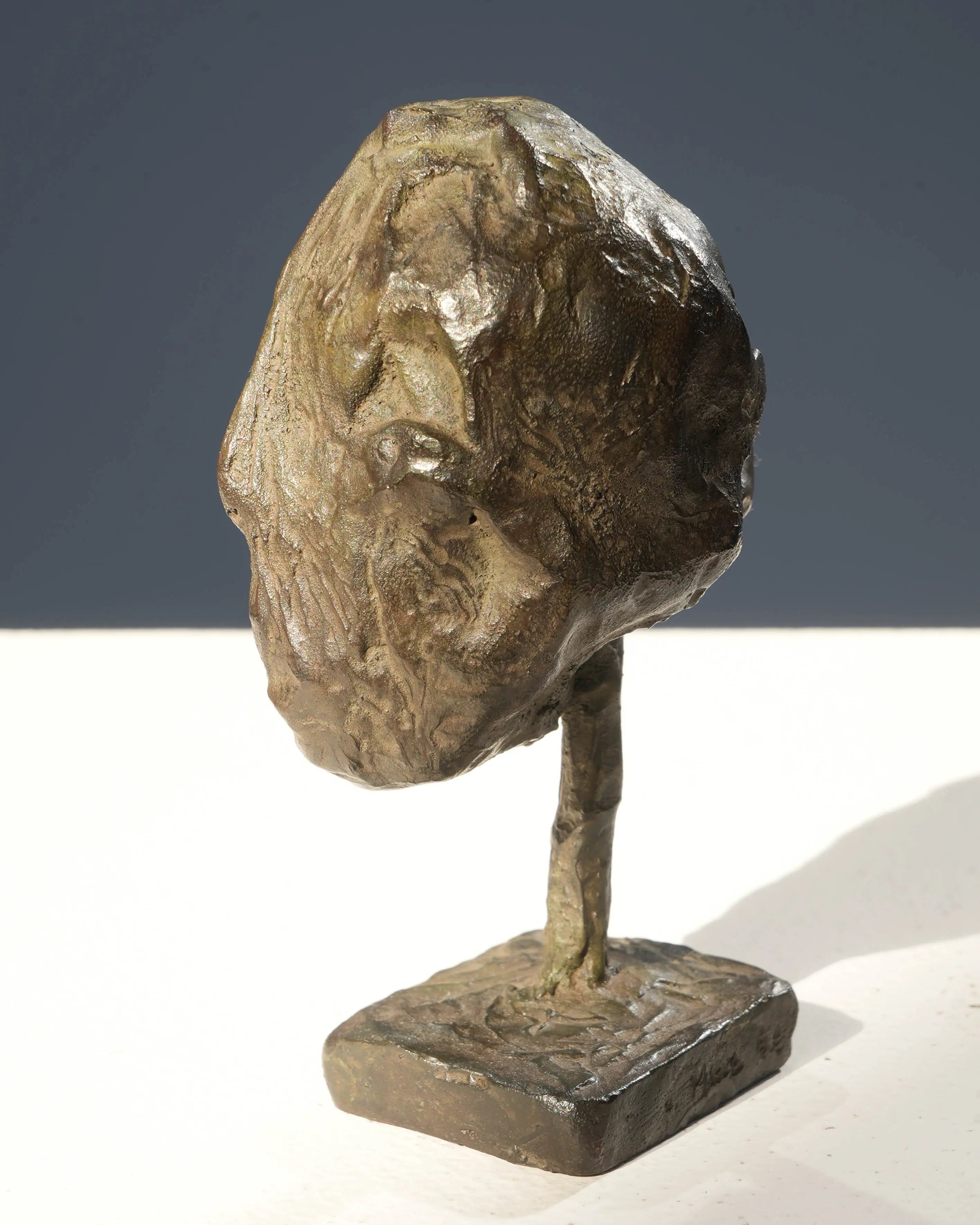 18847, Marc Petit, Tete V, 2002