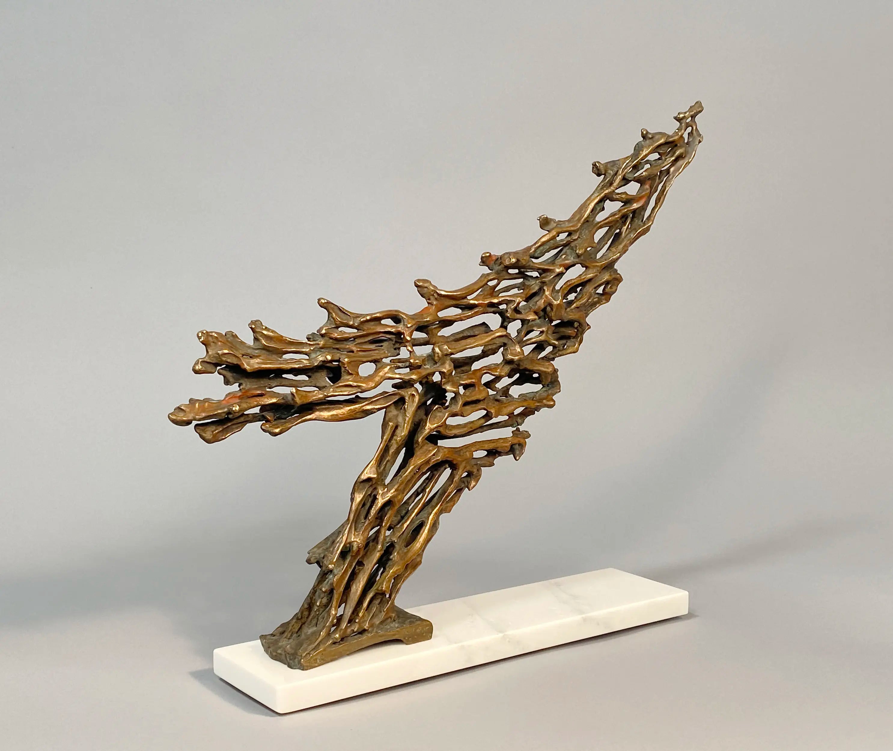 14554, Robert Cook, Rushing, 2010