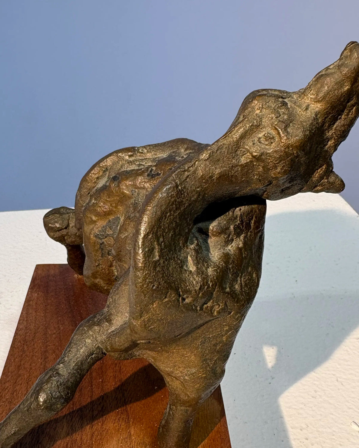 18833, Jack Zajac, Goat, c. 1960s