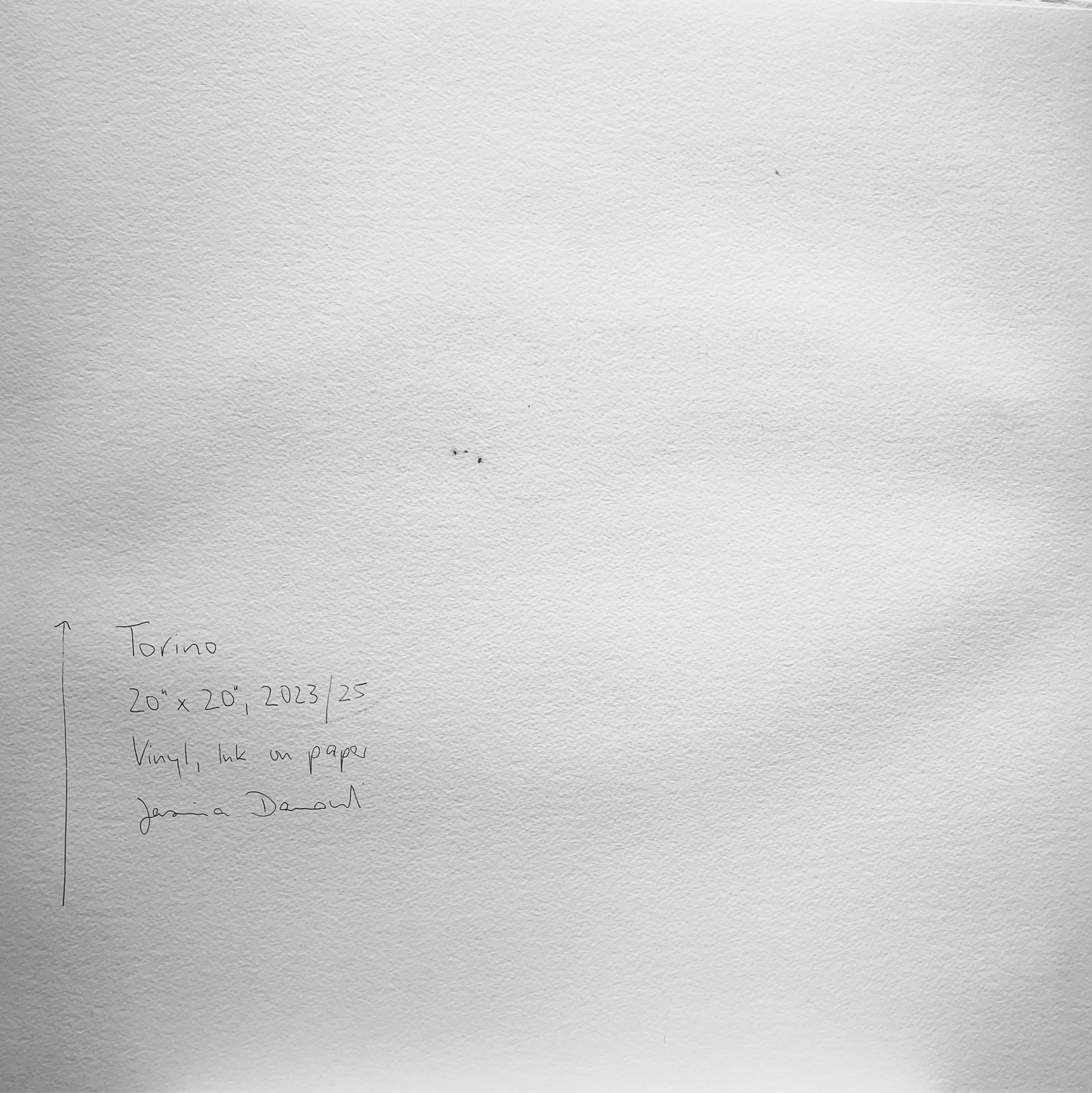 18690, Jasmina Danowski, Torino, 2023-25