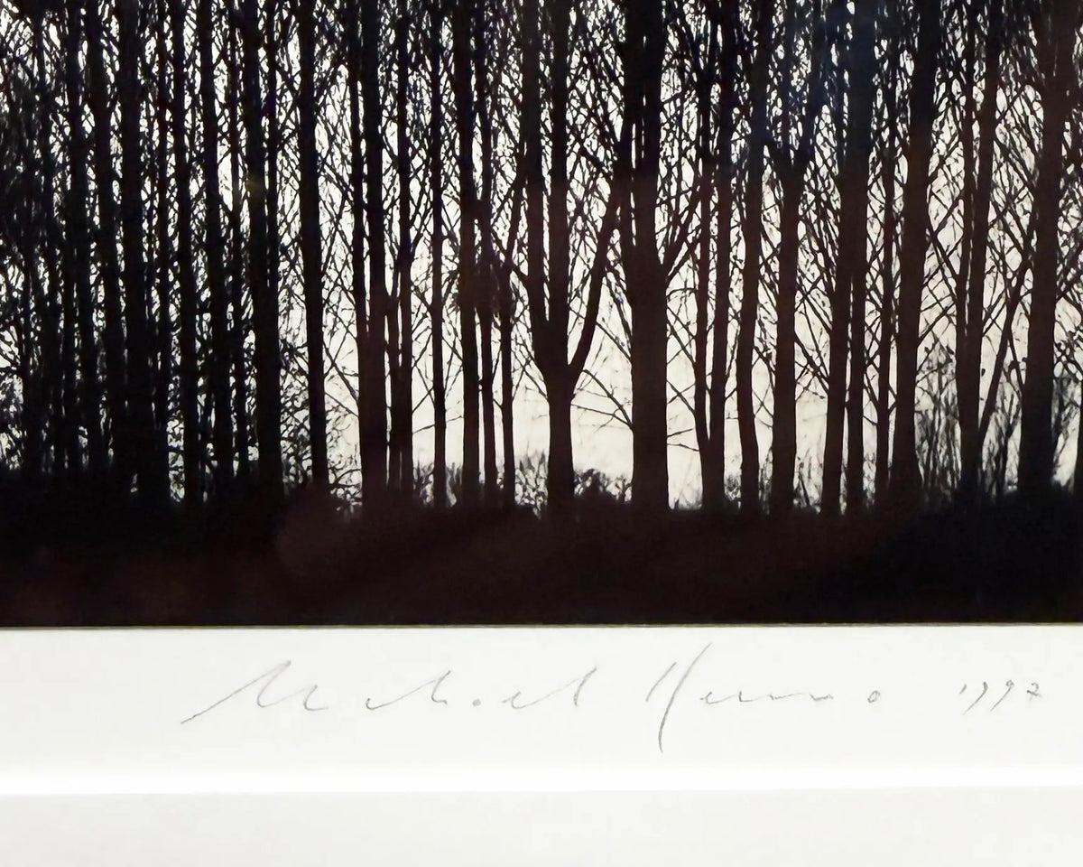 18913, Michael Kenna, Nesting Colony, Bourgogne, France, 1997, printed 2000