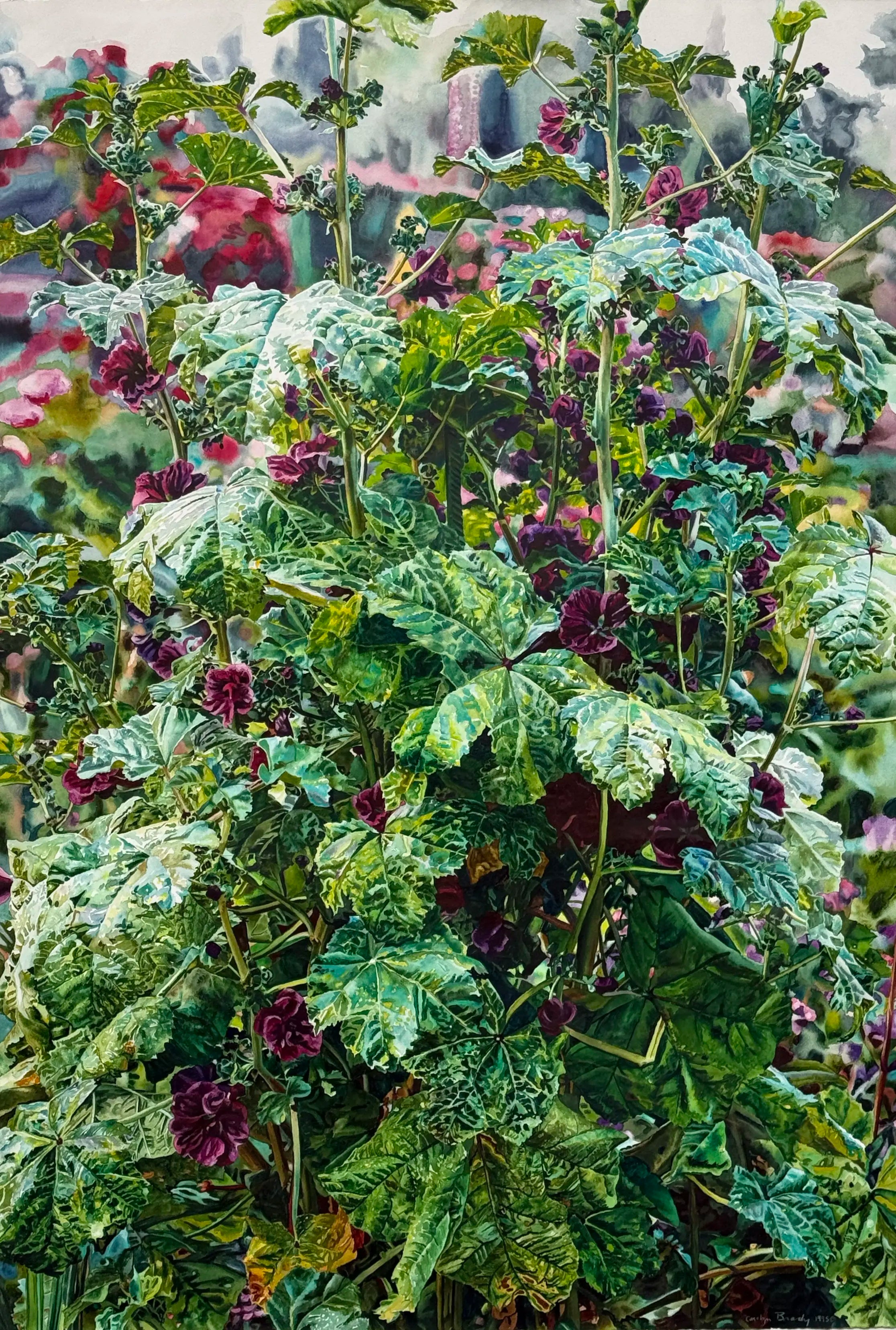 18844, Carolyn Brady, Giant Purple Mallow, Giverny, 1995
