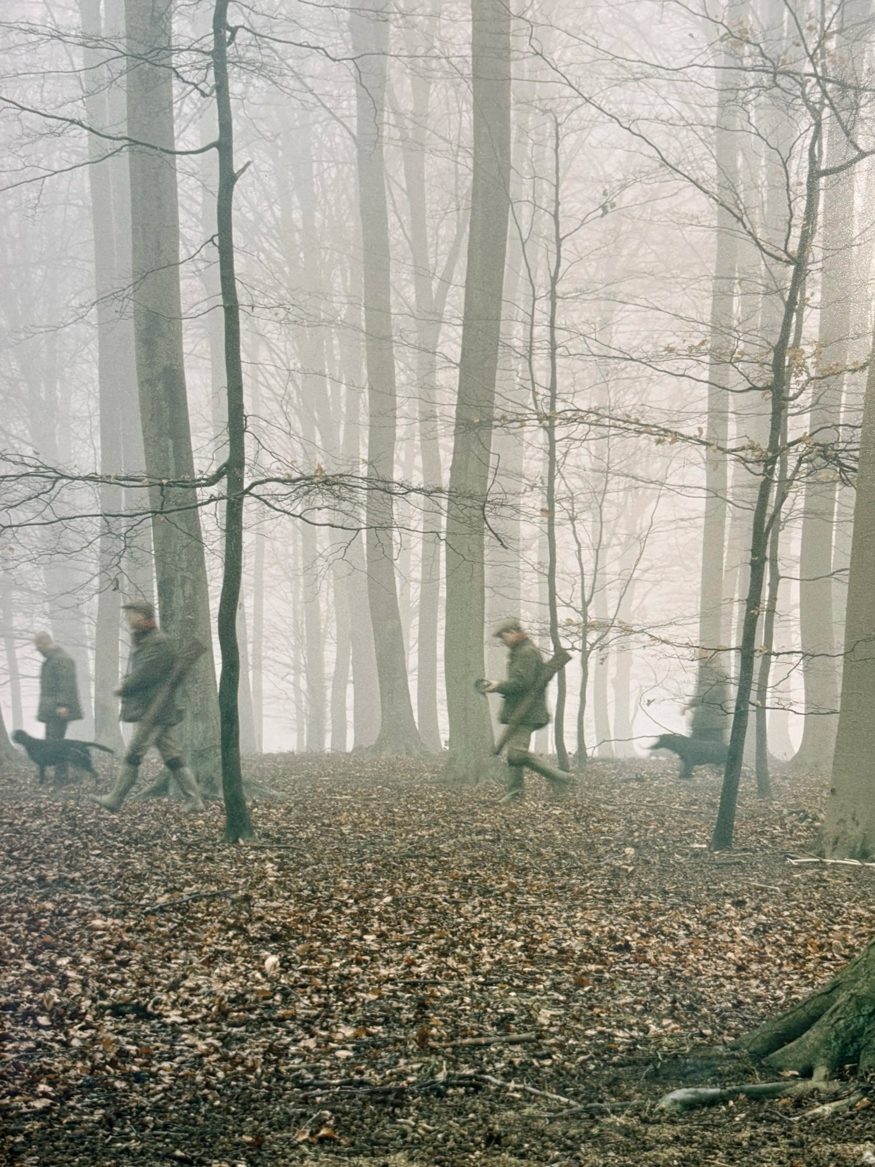 16140, Nicolai Howalt & Trine Søndergaard, How to Hunt; Tvedelykkemarken (Bjornemosen), 2005-07