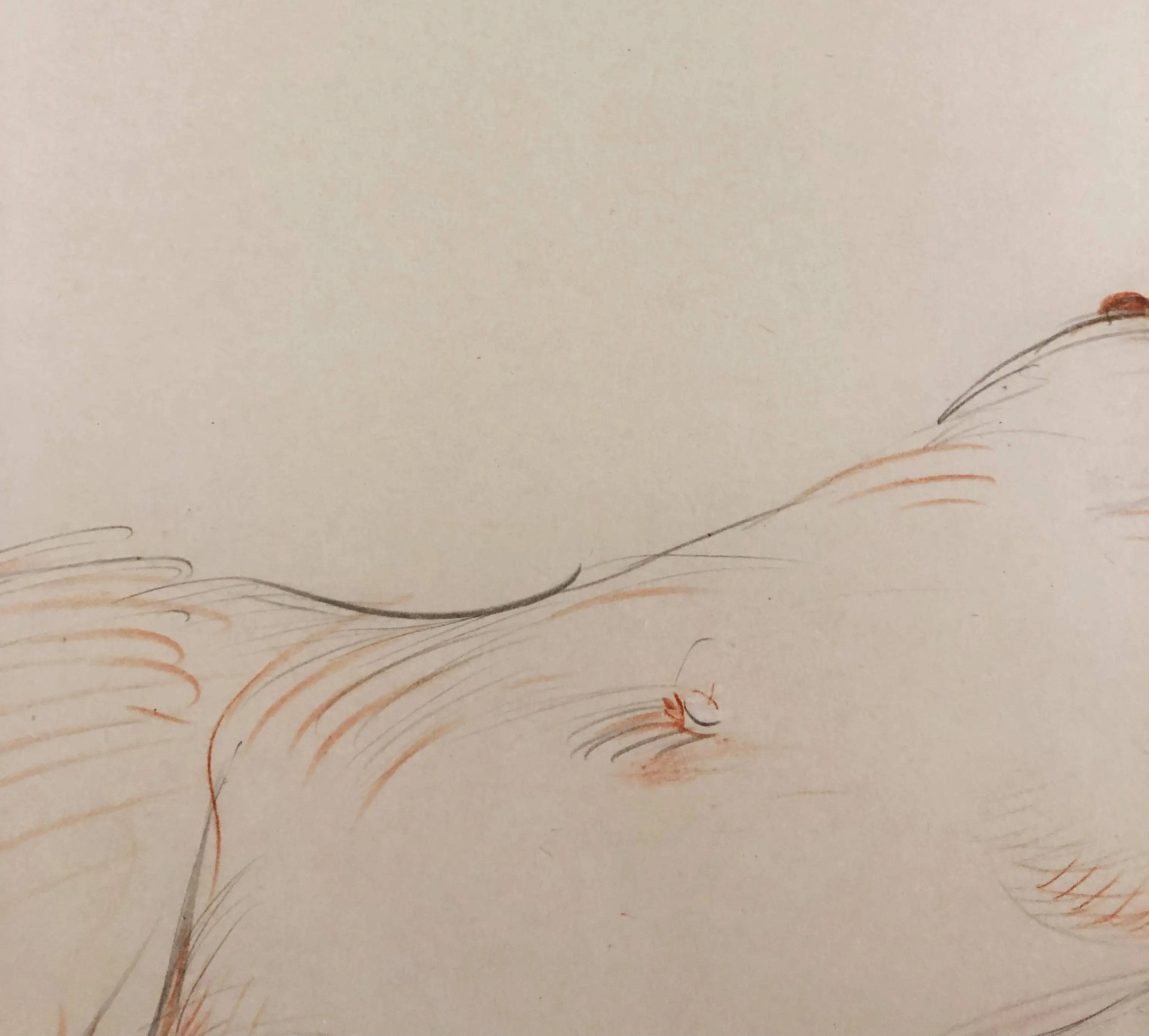 14814, Paul-César Helleu, Nu Endormi