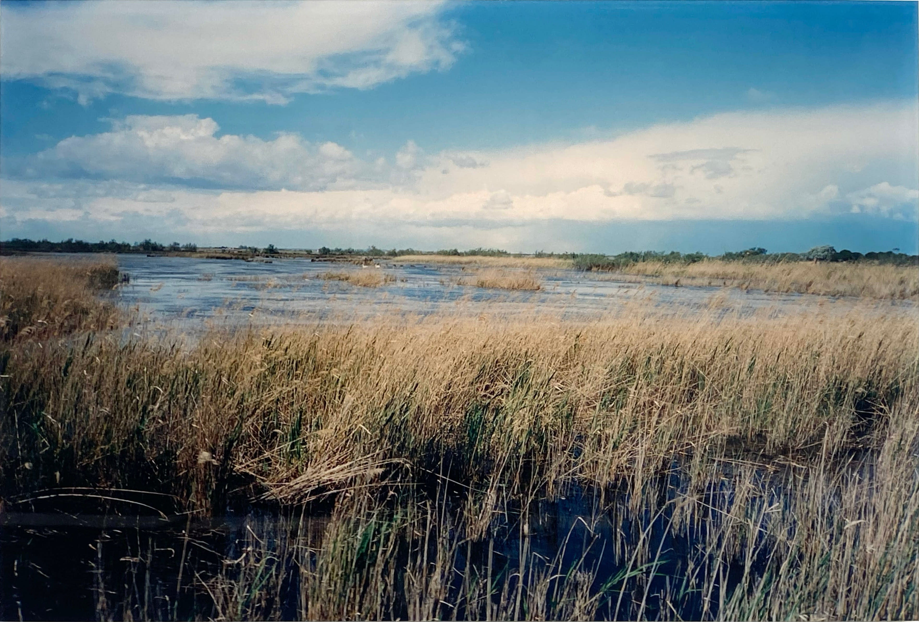 18442, Seton Smith, Marsh with Ducks, 1990