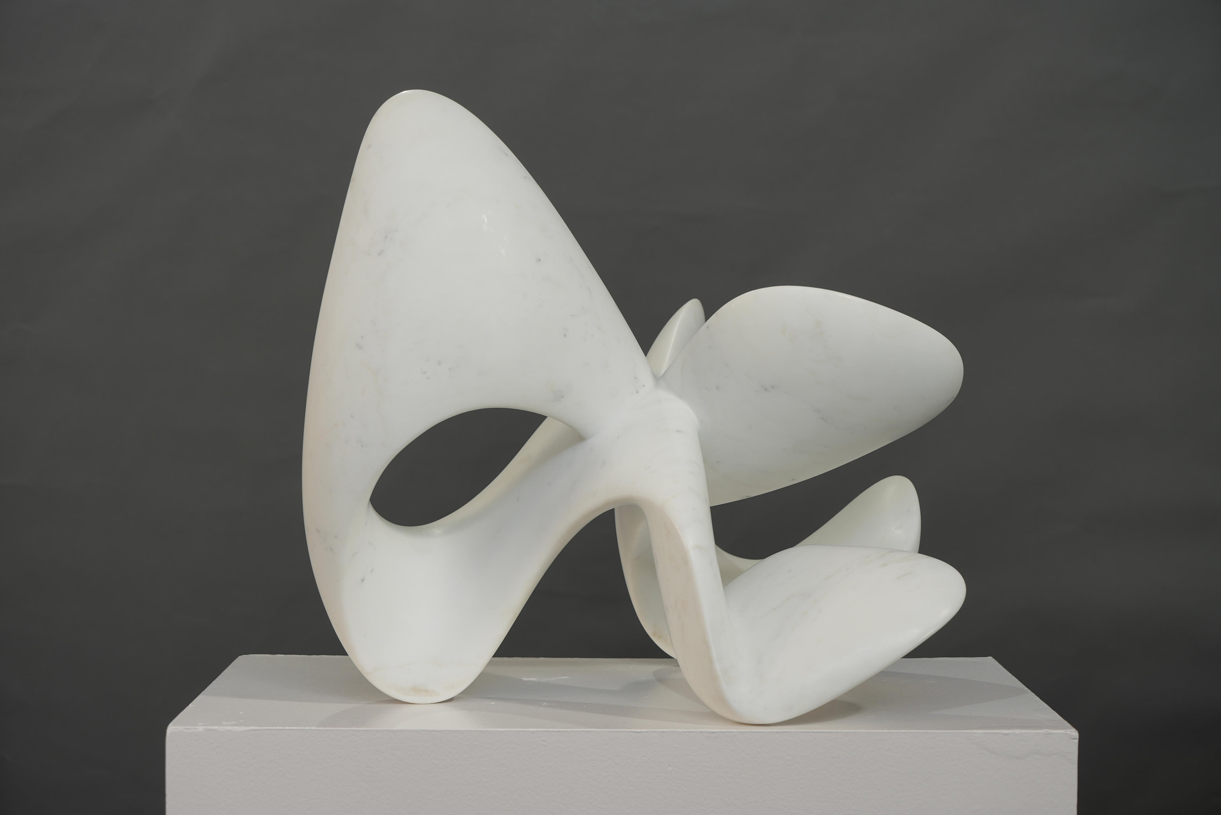 18775, Richard Erdman, Umba, 2024
