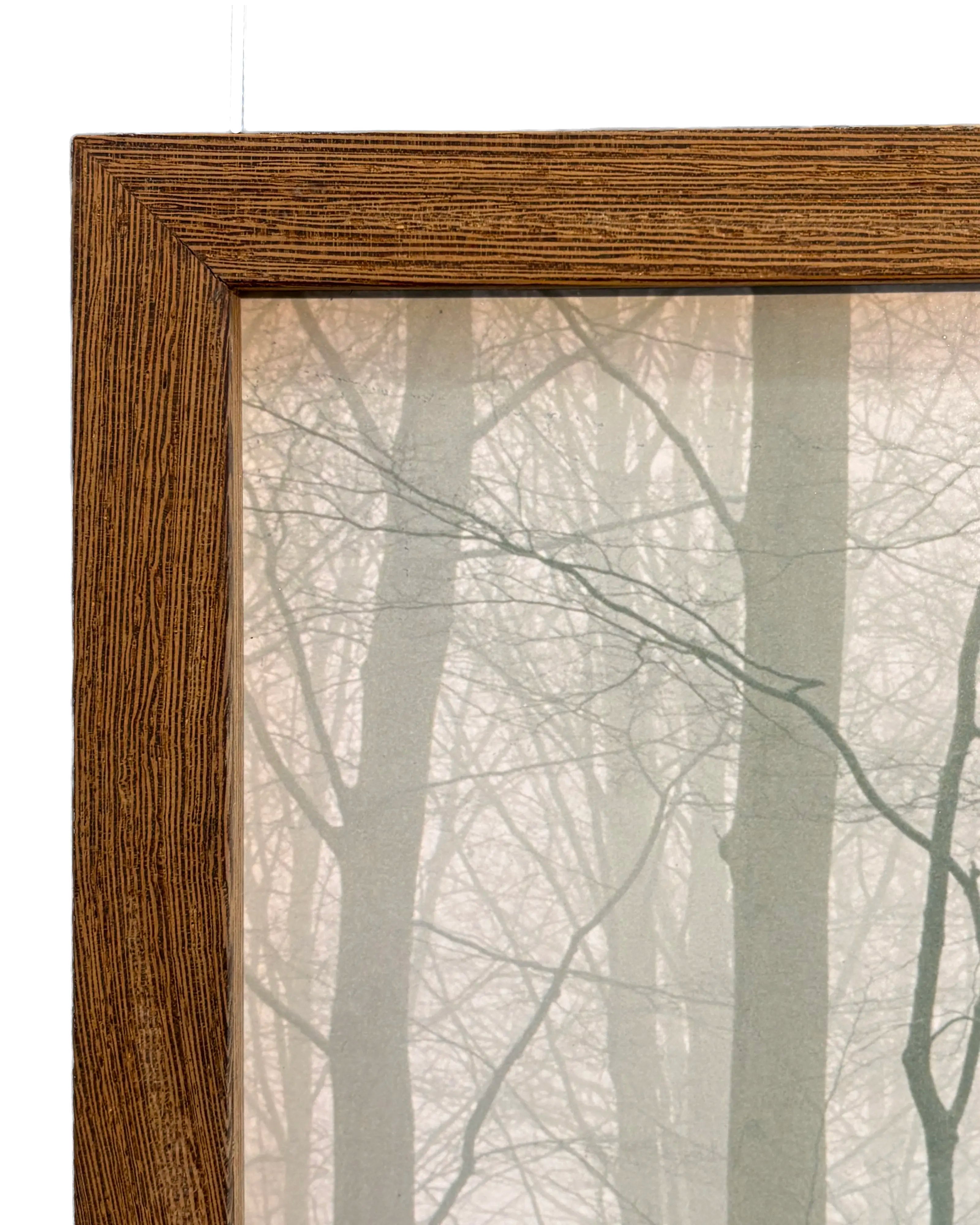 16140, Nicolai Howalt & Trine Søndergaard, How to Hunt; Tvedelykkemarken (Bjornemosen), 2005-07