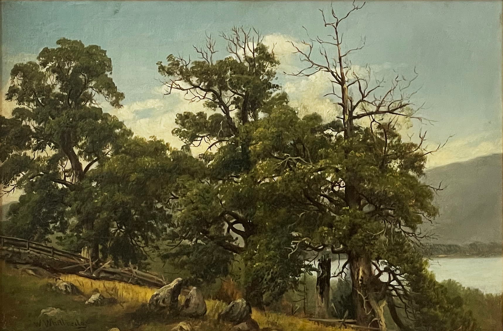 14996, Thomas Worthington Whittredge, Tree Study, Lake George, late 1860's