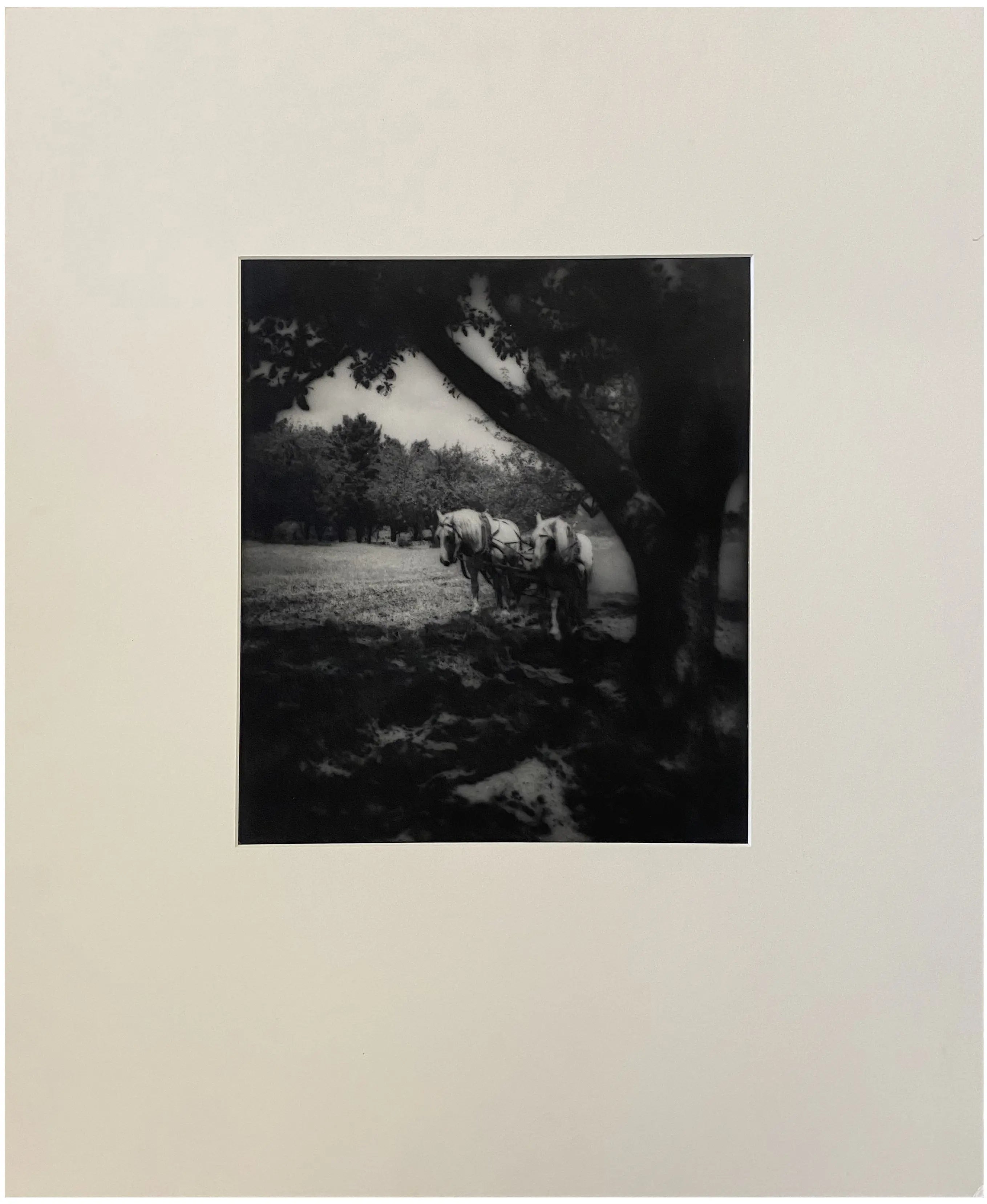 17045, Eleanor Parke Custis, Shade, circa 1938